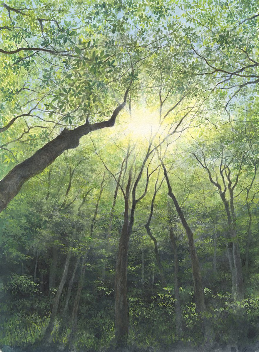 4階ギャラリー予告】 「野村重存展ー風景水彩画を中心にー」 12/3(水