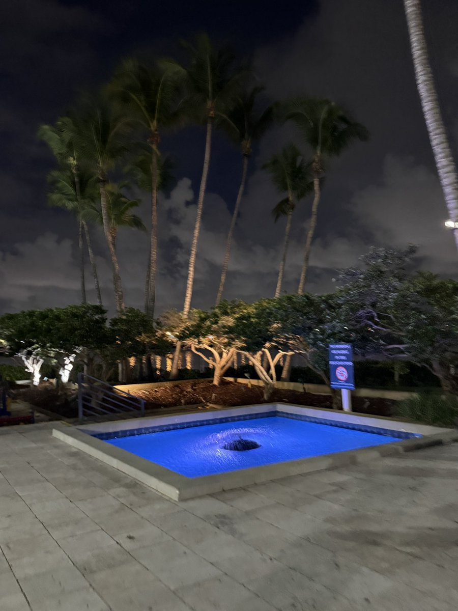 Otrkev's tweet photo. 🌴 https://t.co/6OYXTtgN2I
