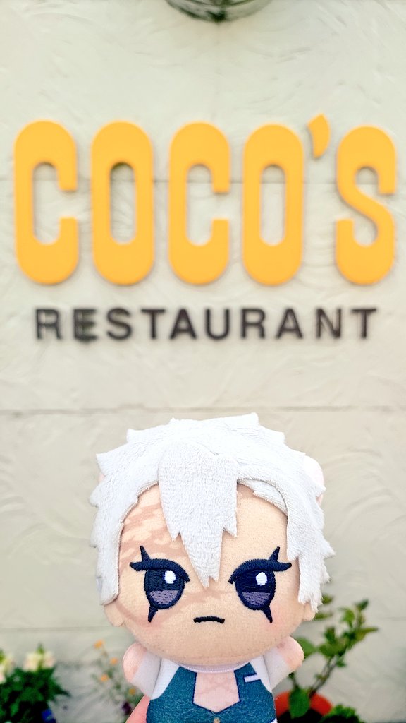 🍃ｺｺｽｩ 🌰ﾊｧ----……