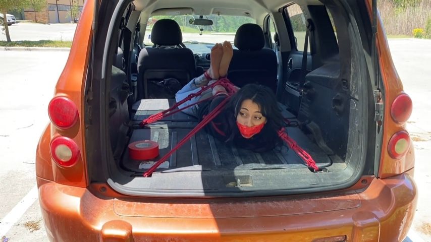 Bound&Found tweet media