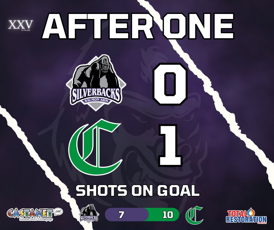 SASilverbacks's tweet image. Silverbacks down one heading into the second.