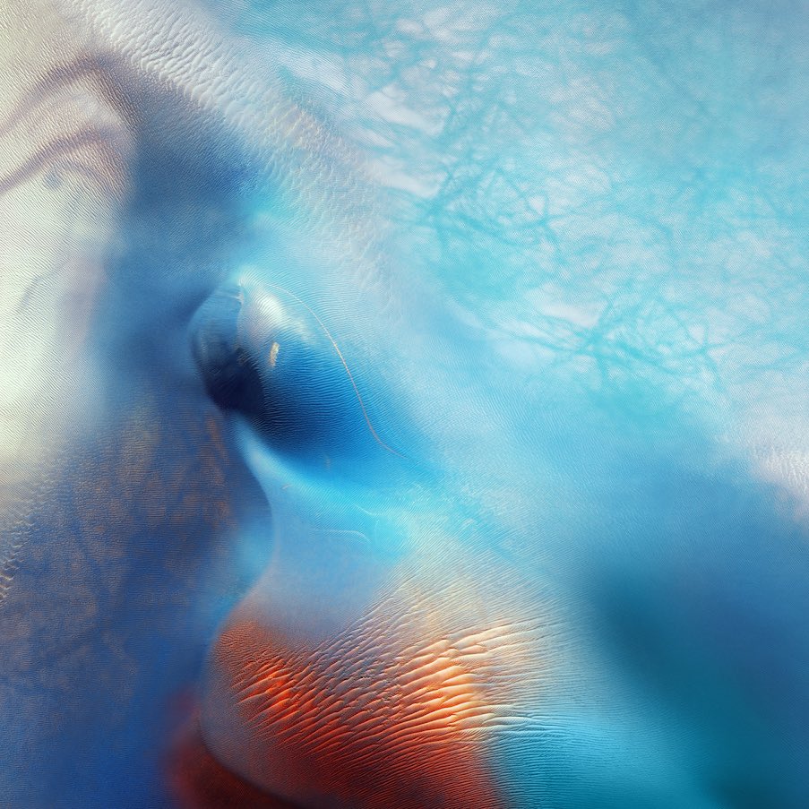 MacOSFinder's tweet image. Genuinely what is this wallpaper supposed to be? A parrot?