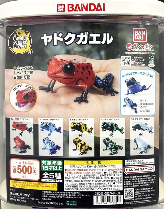 📢11月の新商品情報！ ＼ ・いきもの大図鑑レプティ ヤドクガエル