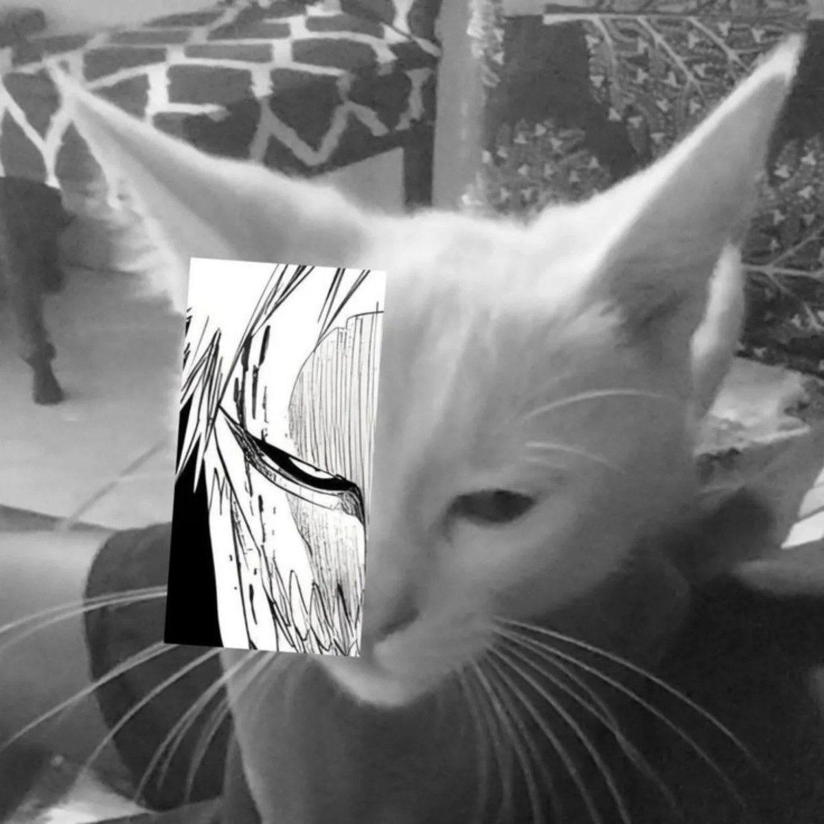 Out Of Context Manga (@mangacontexts) on Twitter photo 