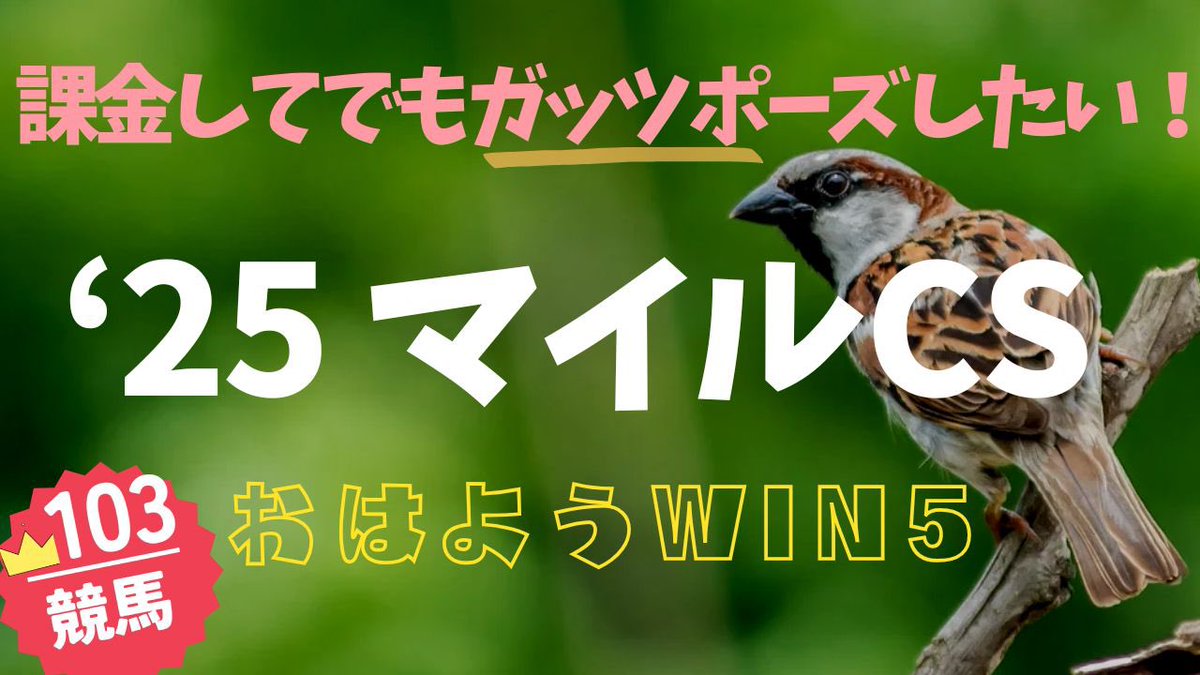 Suzukintos's tweet image. 毎週日曜朝☀️自暴自棄系ウインファイブ生放送です。共にやさぐれましょう！

お試し再生　第103回　マイルCS回
youtube.com/live/7FHAHjohD…

#WIN5
#おはWIN5
#マイルCS
#ジャパンカップ