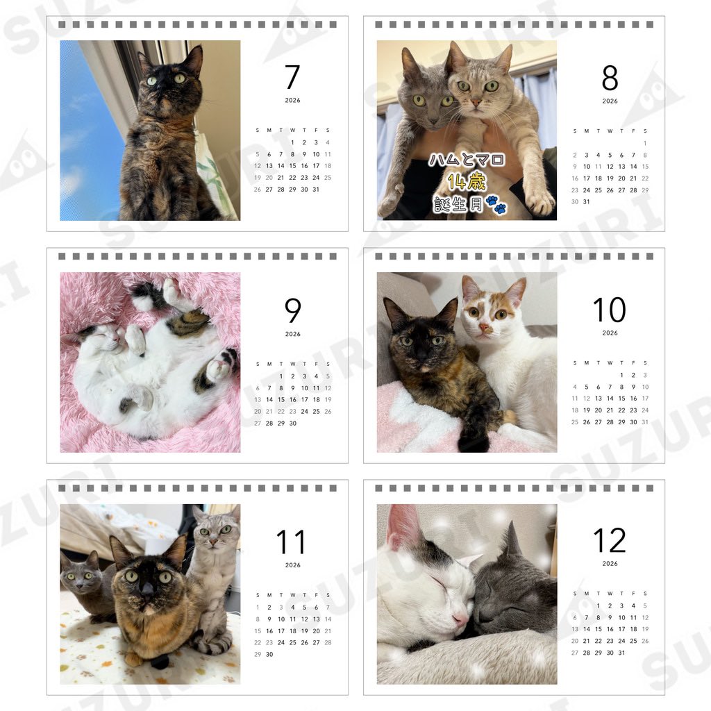 G6uu86XawAEtnCG.jpg?format=jpg