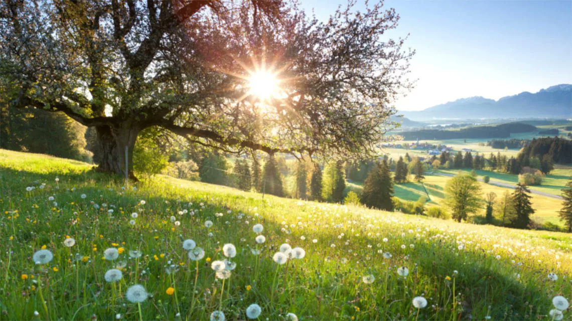 A7RockStar's tweet image. Good Morning! X Mate🌞
हर नया दिन एक खाली पन्ना है—
आज उसमें अपनी मेहनत, हिम्मत और मुस्कान से
नई कहानी लिखो। ✨
याद रखो, छोटे कदम ही
बड़ी मंज़िलों की शुरुआत होते हैं। 🌟💪

#MorningVibes #StayMotivated