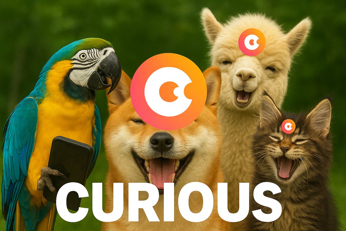 HienPhuc277181's tweet image. GM Fam 🎯
@curiousbrowser 
 Is where imagination meets exploration

A vibrant space that turns questions into adventures ideas into reality, and creativity into connections.

With every step,Curious opens the door to new perspectives,playful discovery.@David_Tomasian 

#curious