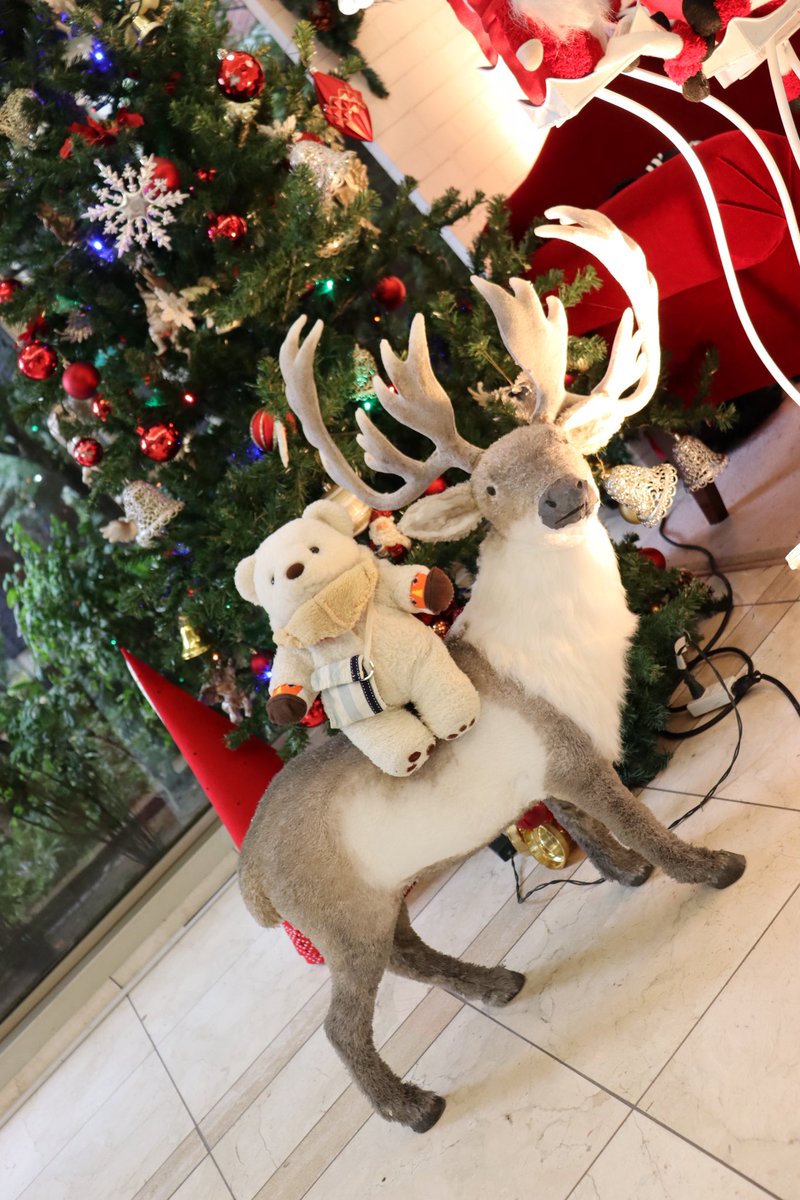 トナカイとでかけるの🐻‍❄️🎁❤️
#くまのぽーちゃん #ぬいぐるみ #ぬい撮り