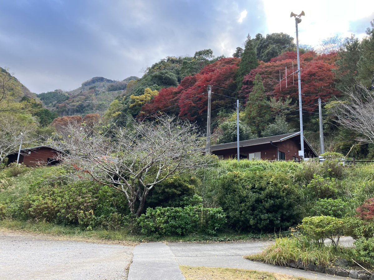 Saiki_Tourism's tweet photo. 🌟佐伯市🍁紅葉情報🌟

🍁佐伯市 本匠（小半森林公園 周辺）🍁
（〒876-0215 大分県佐伯市本匠大字小半107）

本匠も少しずつ紅葉がすすんでおります🥰💖
道路沿いの紅葉は赤や黄色と場所によって様々です🍁
小半森林公園は良い頃だと思います✨

佐伯市観光ナビ
https://t.co/9mgtUNgga1

#佐伯市 https://t.co/dkVLSudi8e