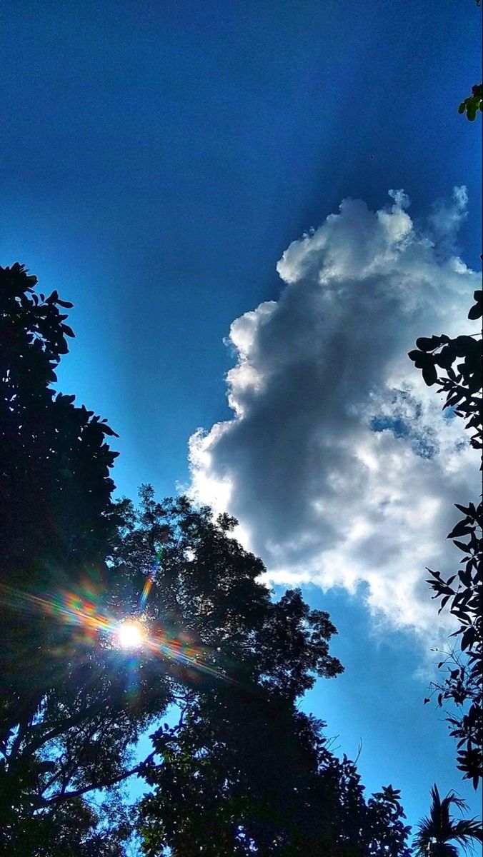 criseh254's tweet image. Good morning mates⛅☕