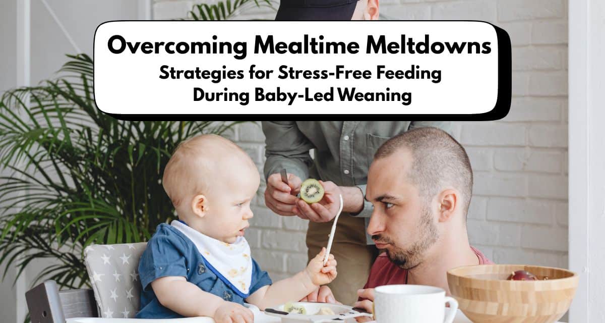 DCmemberblogs's tweet image. .@firststepnut: Overcoming Mealtime Meltdowns: Strategies for Stress-Free Feeding During Baby-Led Weaning dlvr.it/TPTzCG #dietitian