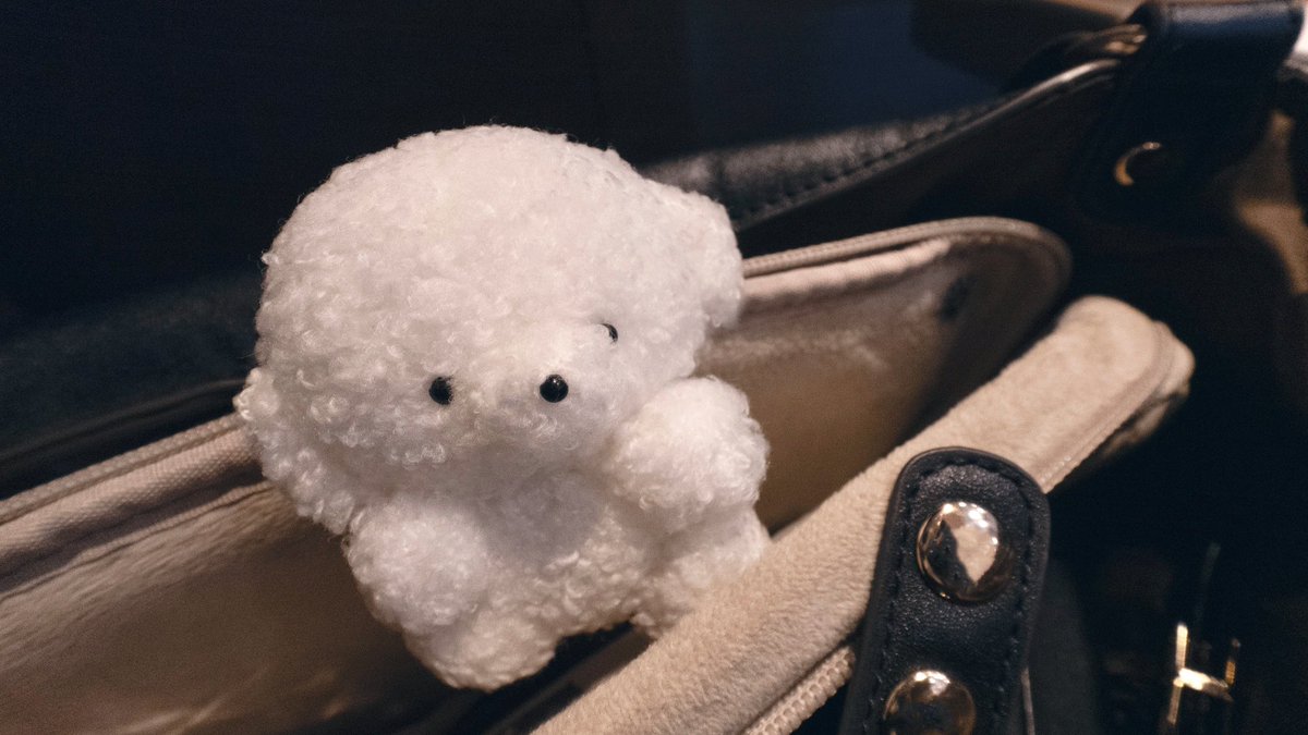 josemaru_model's tweet image. おうえん　がんばれする　おしごと