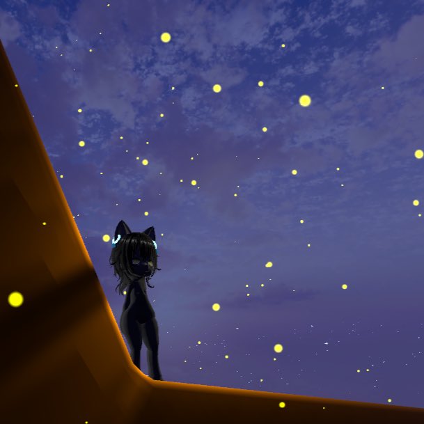 さぁ…、ここはどこでしょうにゃん？？🐈‍⬛⸒⸒⸒⸒🐾