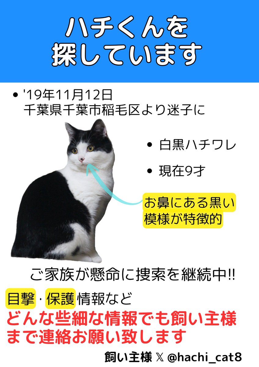 ⭐️チビ⭐️りくりゅう　上々の初戦　神戸新聞 8/18 記事 E5%9D%82%E6%9C%AC%E8%8A%B1%E7%B9%94