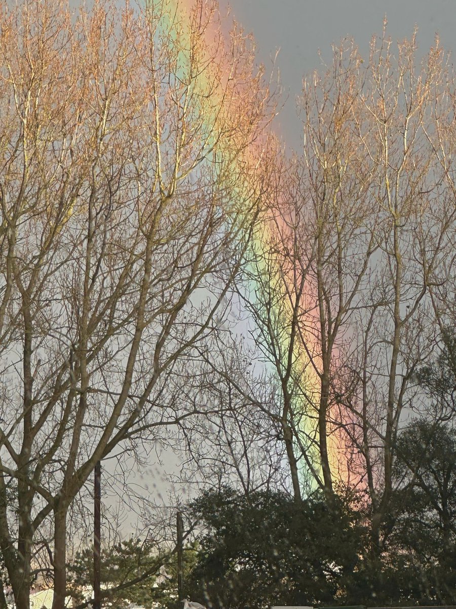 Wishing you all a terrific Thursday lovely people