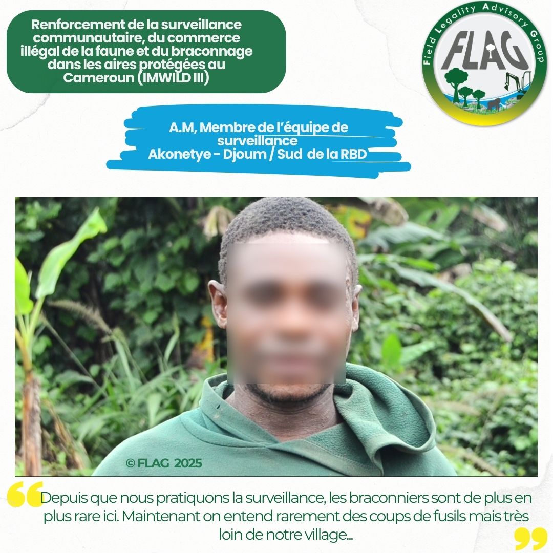 FLAG Cameroon tweet media