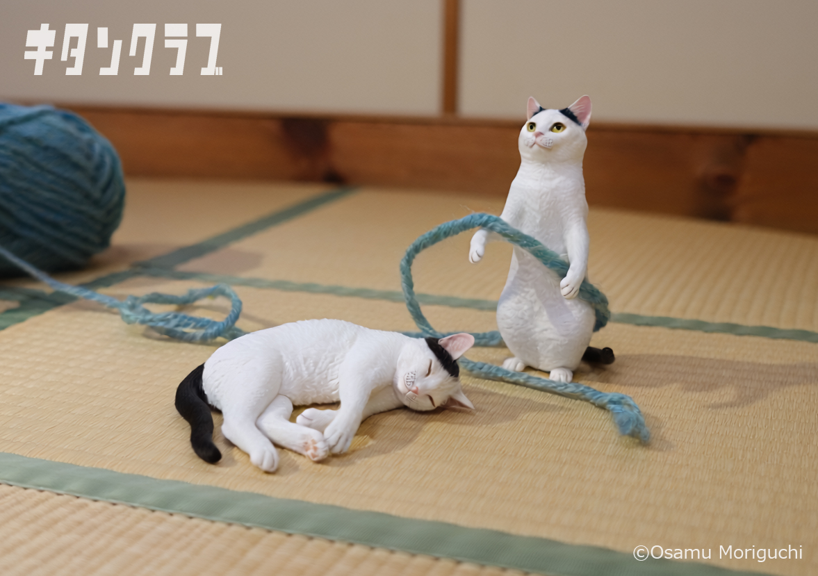 猫造形作家 #森口修 氏が手がける、 リアルな毛並みや骨格までこだわり
