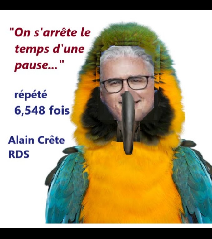 Le perroquet.  <a href="/CrteAlain/">Alain crête</a> <a href="/RDSca/">RDS</a> <a href="/TVASports/">TVA Sports</a>