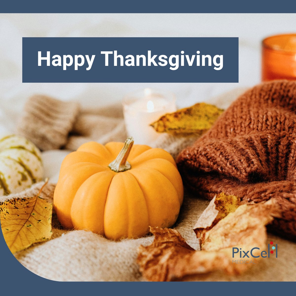 Wishing all our US friends, colleagues, and partners a very Happy Thanksgiving!