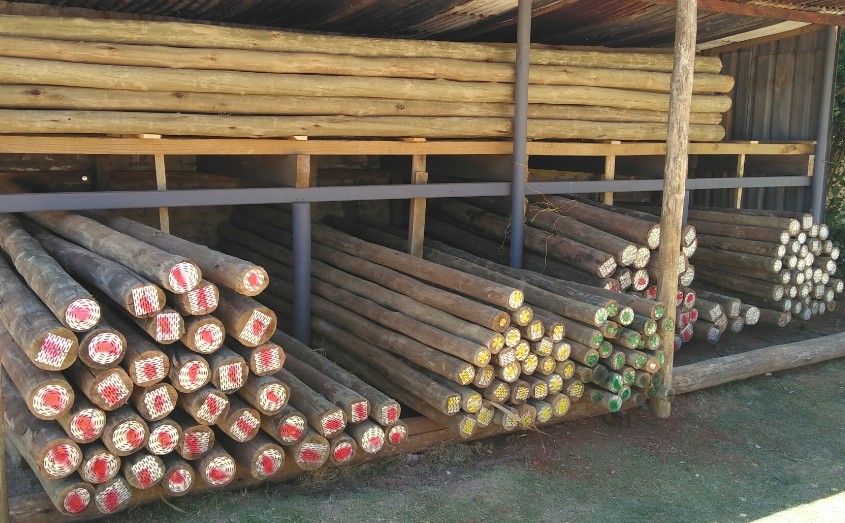 Timberstone7's tweet image. Poles, laths and survey markers - mailchi.mp/timbermoulding…