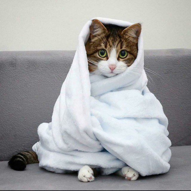 Irina Sergeyevna Prozorova tweet media