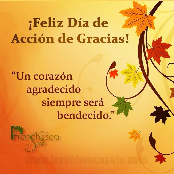 masgamartinez's tweet photo. https://t.co/i65dNDPsFx