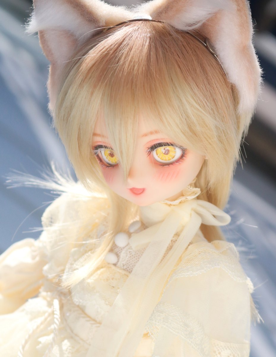 ドルフィードリーム ヘッド フレッシュ DC-H-30 カスタムヘッド フレッシュ肌を出品致しました。 11月30日