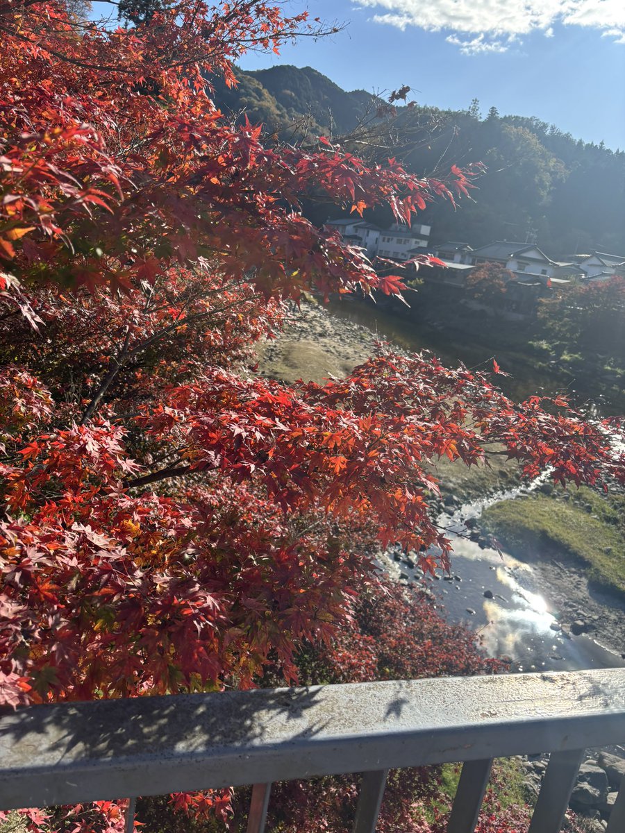 rdqovs's tweet photo. 🍁 https://t.co/EyFrNsUTXJ