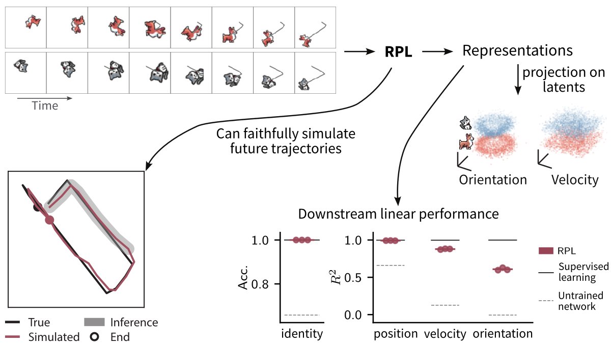 hisspikeness's tweet image. 4/ From raw video streams and without supervision, RPL learns: invariant object identity, equivariant motion variables (position, velocity, orientation, etc.), and a world model that allows simulating plausible motion trajectories entirely in latent space.