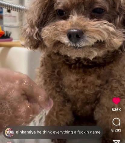 gutsywheeler's tweet image. a tear for your dying parents and missing sister might’ve been nice