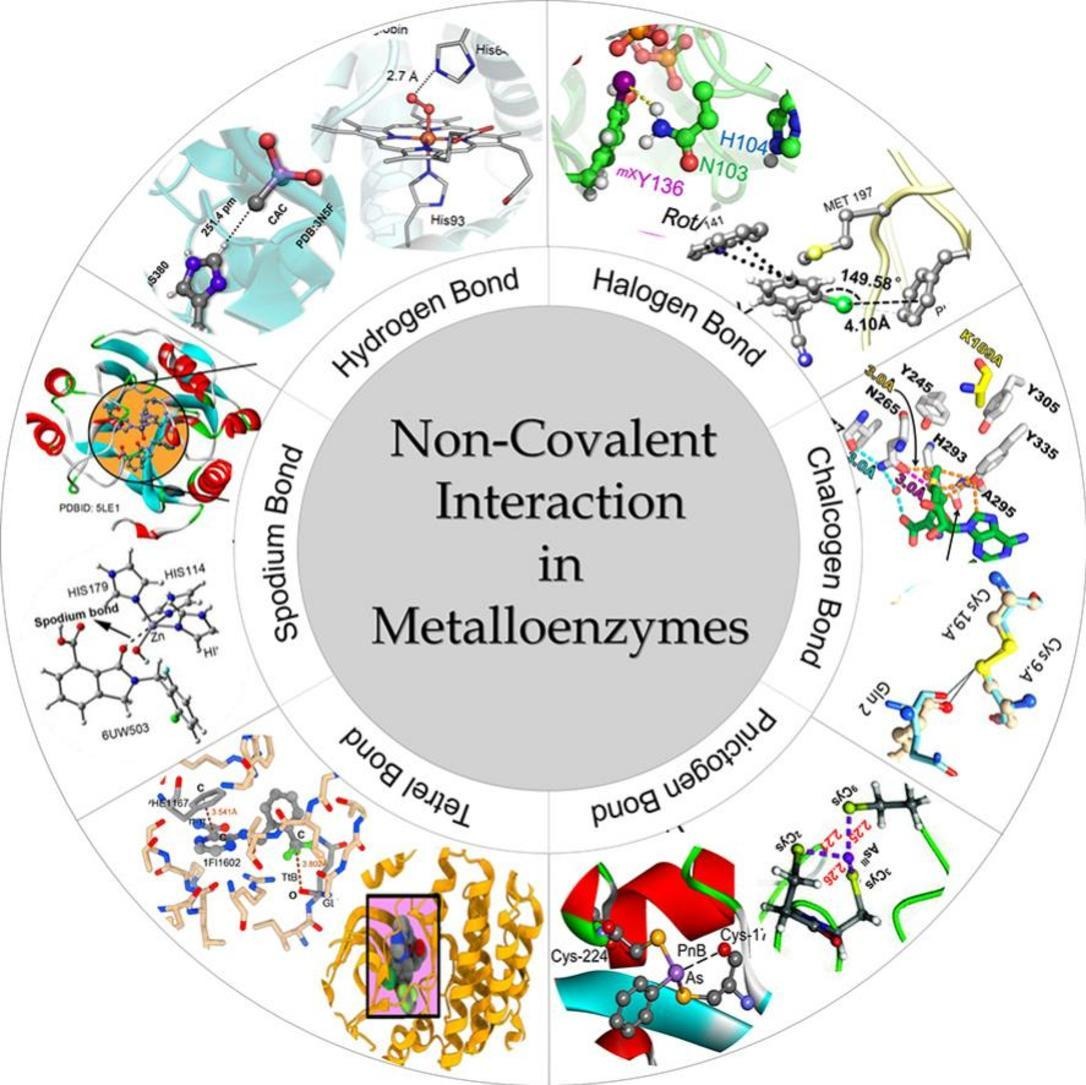 New Review Alert!  
Our latest article in Coordination Chemistry Reviews explores how non-covalent interactions shape the structure, stability, and reactivity of metalloenzymes.  

🔗 Read here: doi.org/10.1016/j.ccr.…