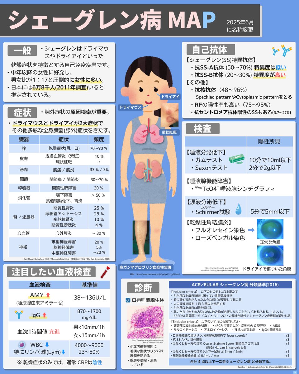 Life_one_9's tweet photo. ✅ シェーグレン病 MAP

シェーグレン病は
もともとシェーグレン症候群と長らく呼ばれていましたが、
2025年6月に『シェーグレン病』に名称が変更になりました。

今回は、そんなシェーグレン病の症状や重要な項目についてご紹介します。

#シェーグレン病 https://t.co/udHFky1K6B