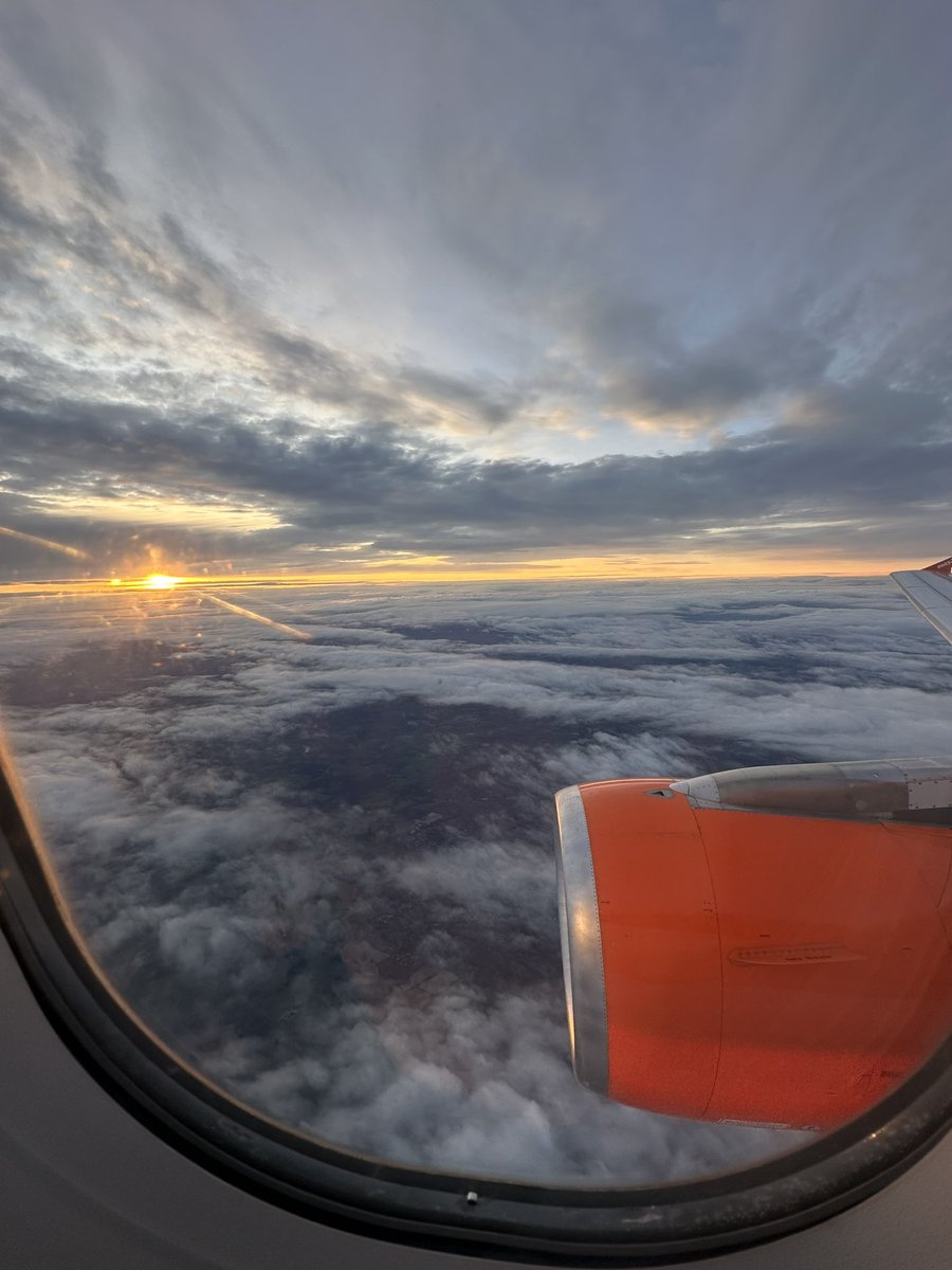 pow22mtg's tweet photo. Gm! Lucca bound for some Eternal Magic: the Gathering trading card game fun. 🧙‍♂️ https://t.co/1ERizpuTjf