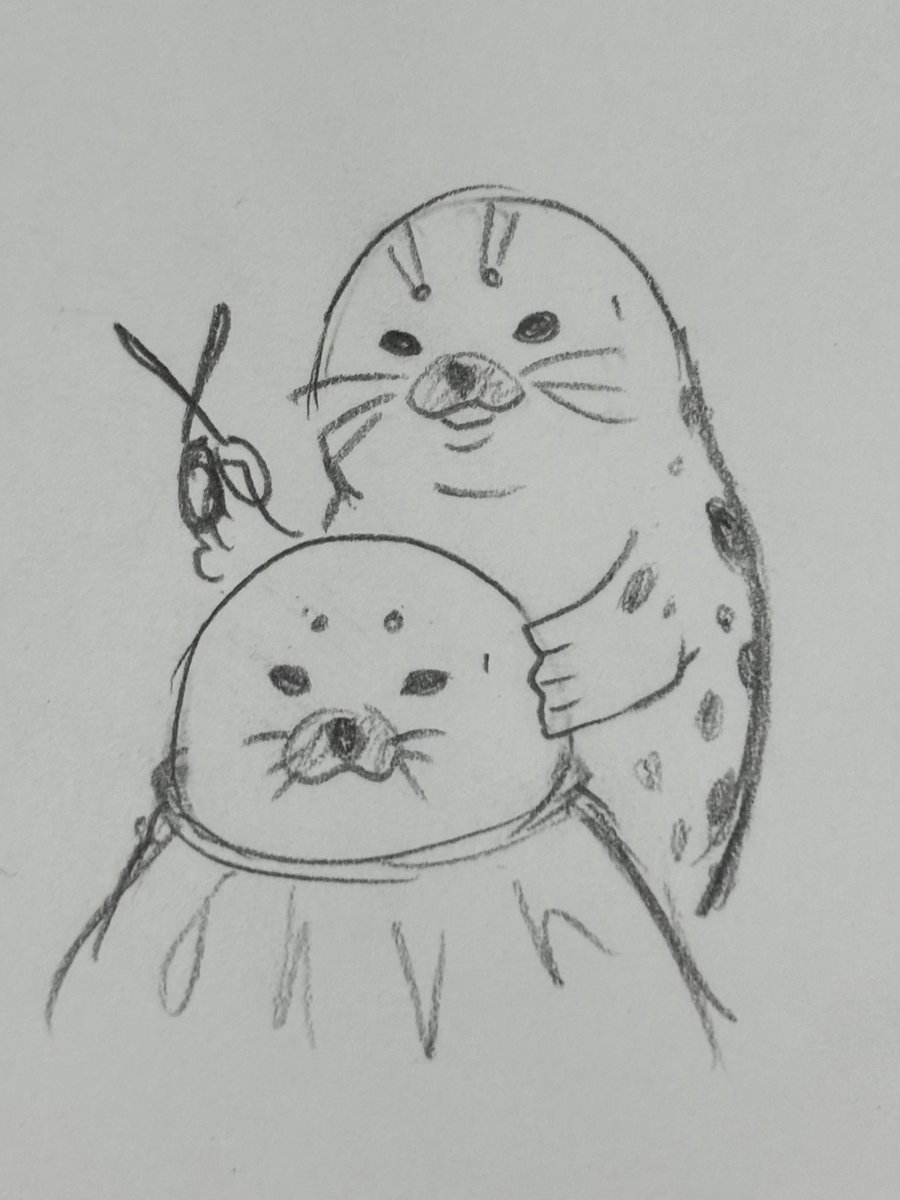 こころ🦭 (@grk2525) on Twitter photo 