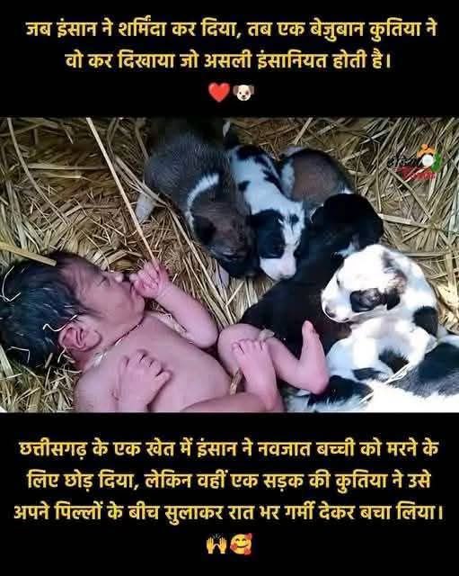 जब बच्ची पैदा नहीं करनी थी तो पहले ही उसका समाधान कर लिया होता  उसे इस तरफ फेंकना ना पड़ता😡😠... वहां पर जानवर अपनी ममता दिखाते हैं.. बोलने के लिए शब्द नहीं है 😠😠😠👇
 #Phone3aLite #RapidoRide