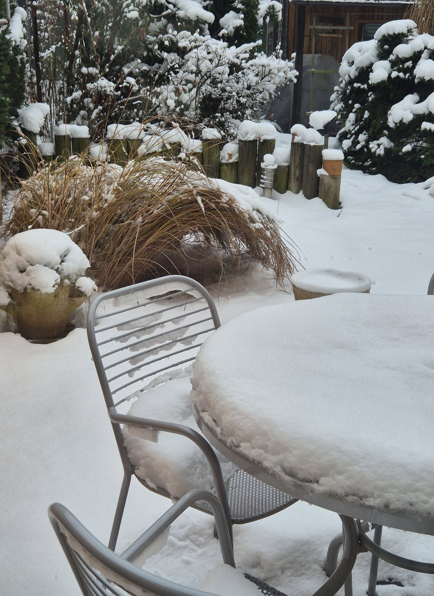 MarcelaKovov4's tweet image. Pěkné zimní ráno ... ☃️