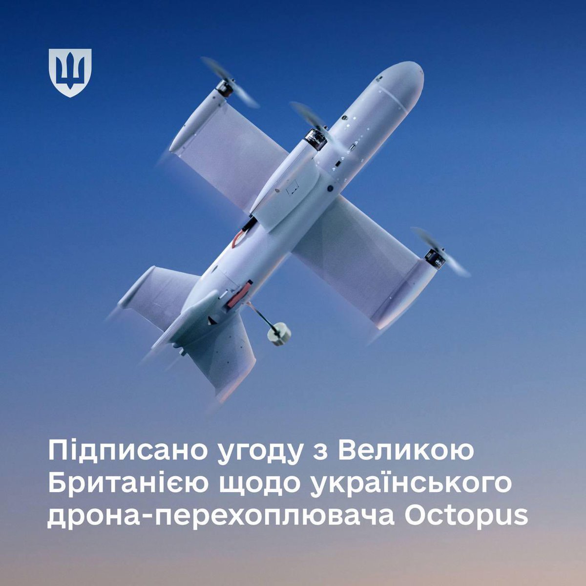 Angelica Shalagina🇺🇦 tweet media