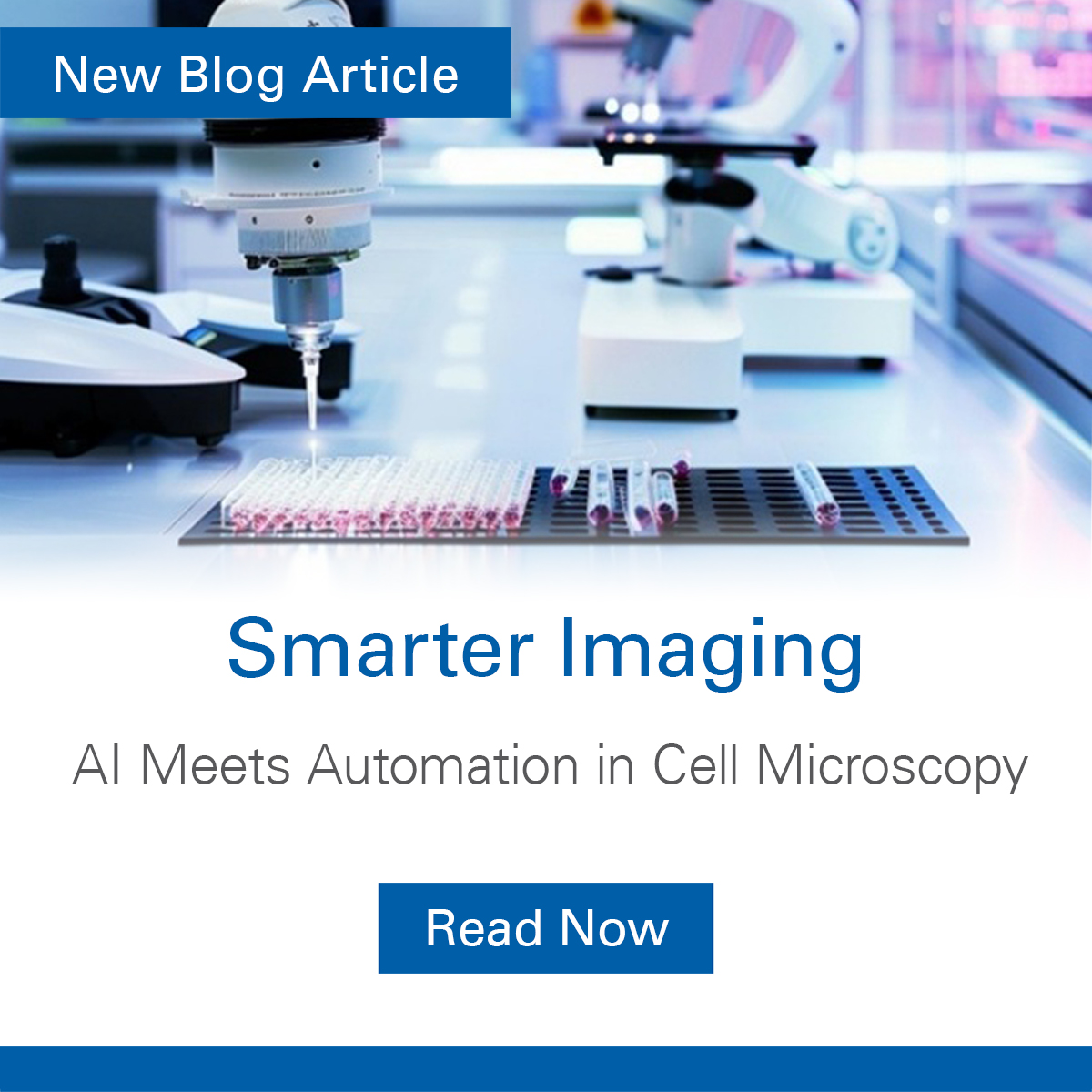 ibidiCells's tweet image. 🔬📊#Automation has already changed everyday imaging by taking over repetitive steps and keeping conditions stable. 🤖Now #AI pushes things further by spotting #patterns we’d normally miss and pulling meaning out of huge #image sets. 

🔗Read our🆕Blog: zurl.co/a6M6X