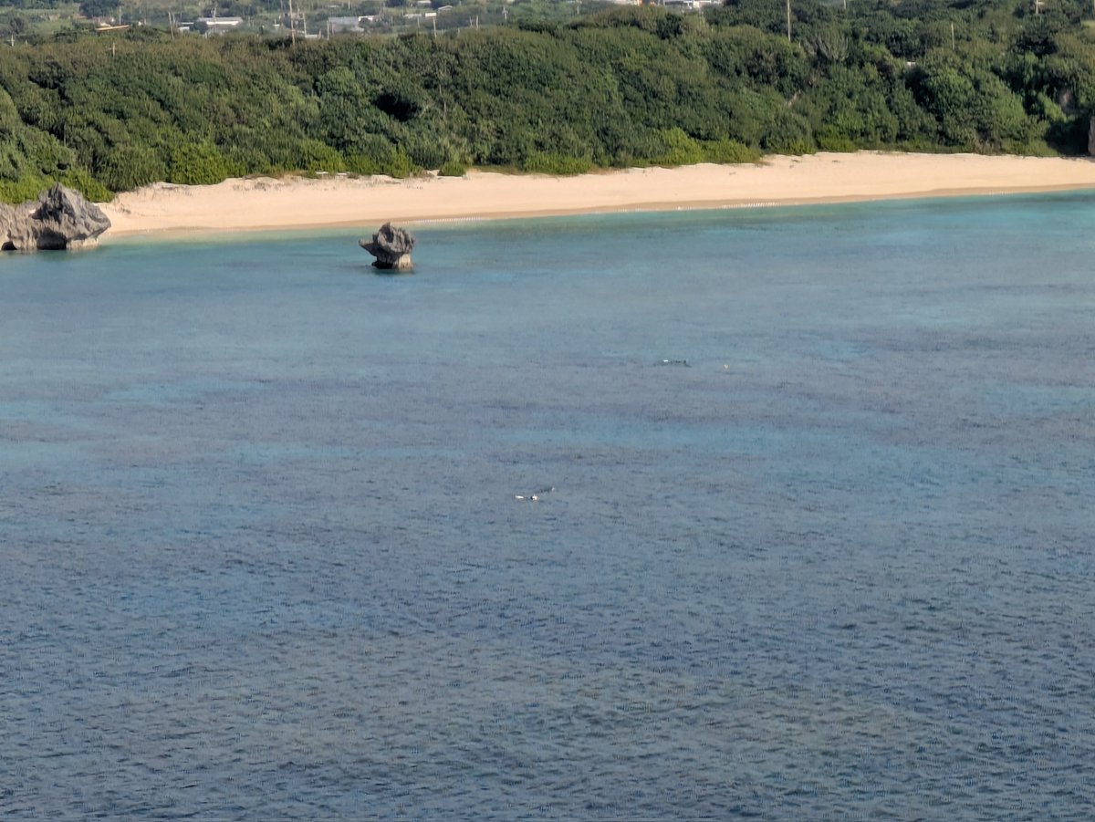 Ryoko555555's tweet photo. 与論島🏝️ヨロンブルー！！ https://t.co/BFTrz4Q0VI