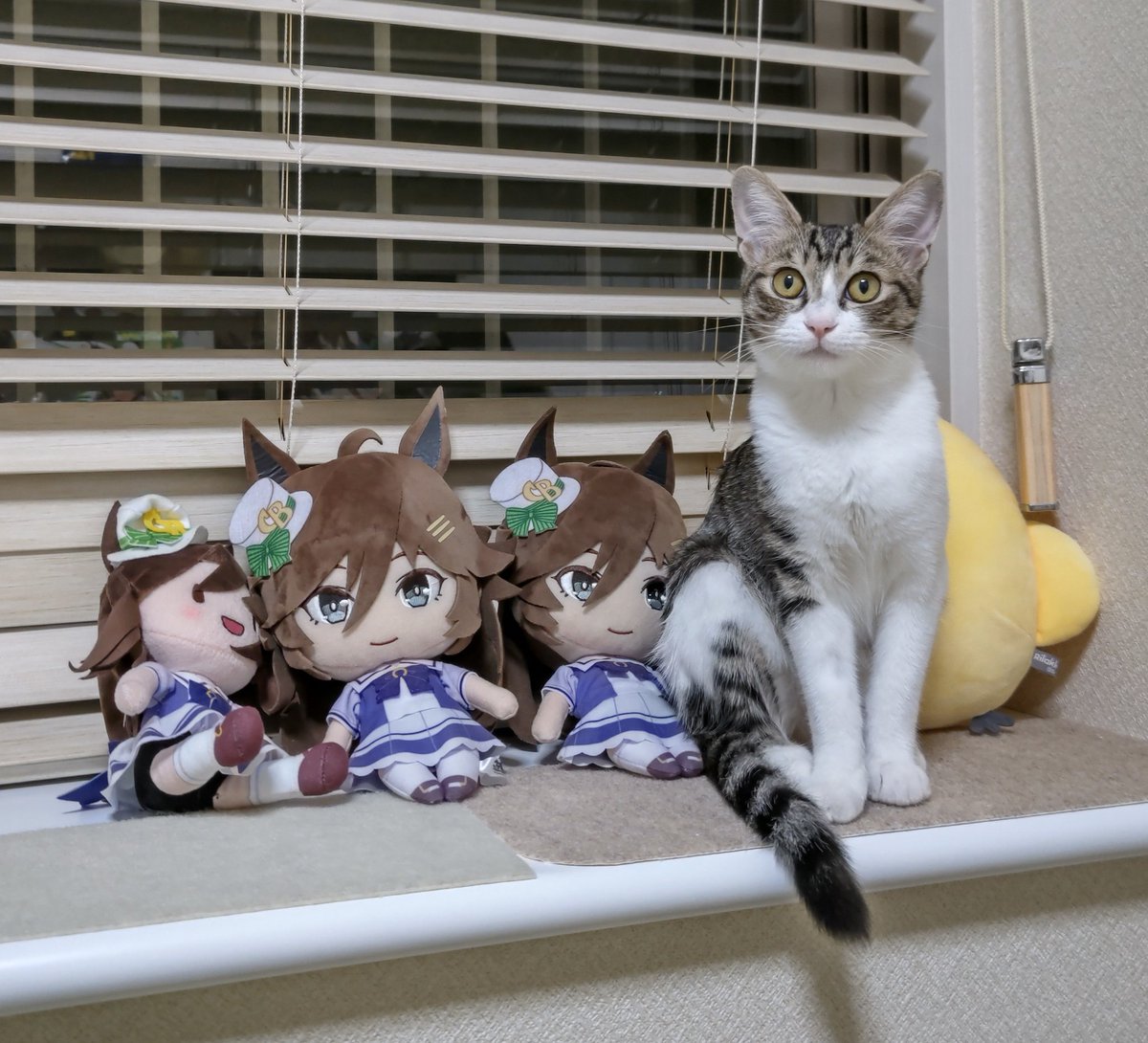 たろうまる🥙1日目東A34ab (@taromarunnn) / Posts / X