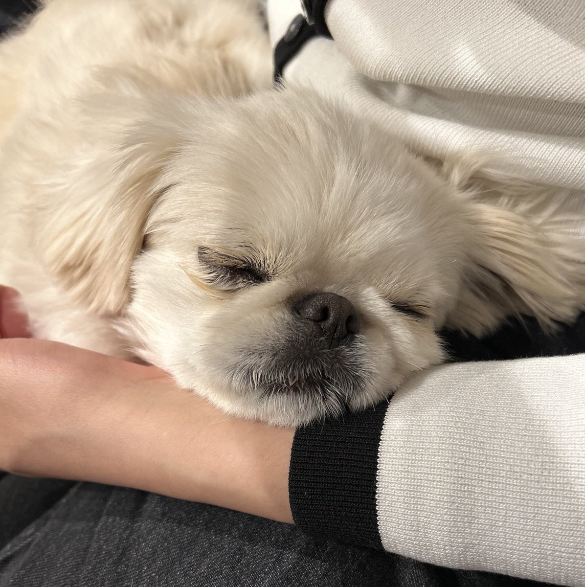 むぎくん (@muuuugi76) / Posts / X