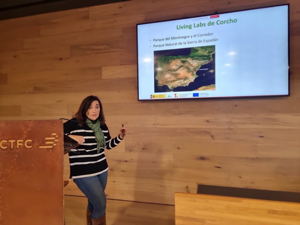 Imforest_PFNM's tweet image. Continuamos hoy con las jornadas orientadas a los resultados de #corcho y #resina. Mariola Sánchez @INIA_es explica los trabajos realizados en #IMFOREST en gestión forestal adaptativa de alcornocales para adaptarse a los efectos del cambio climático.