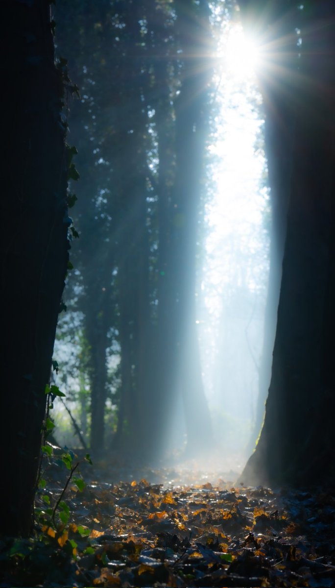 Paul Willson (@pauljwillson) on Twitter photo 