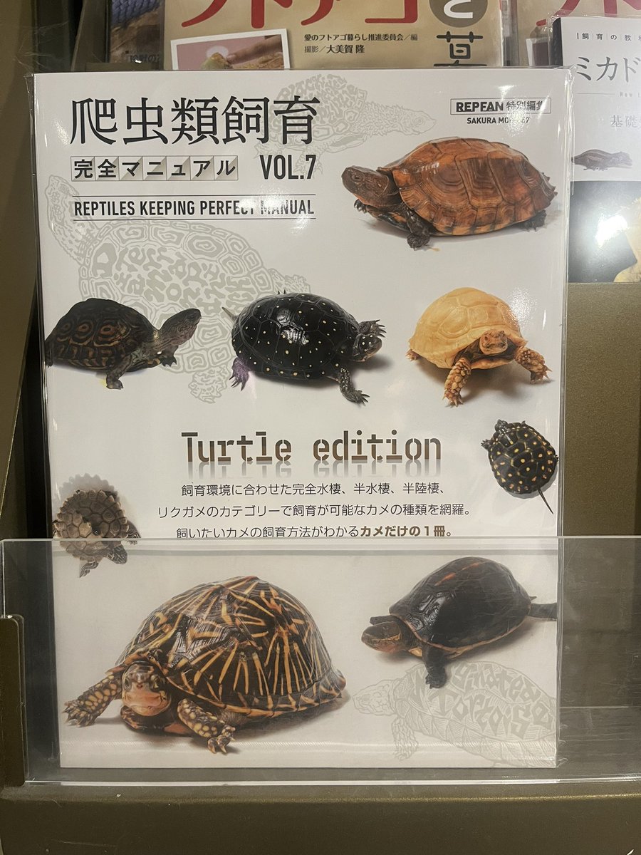 爬虫類ショップ WildMonster (@webmast76129166) / Posts / X