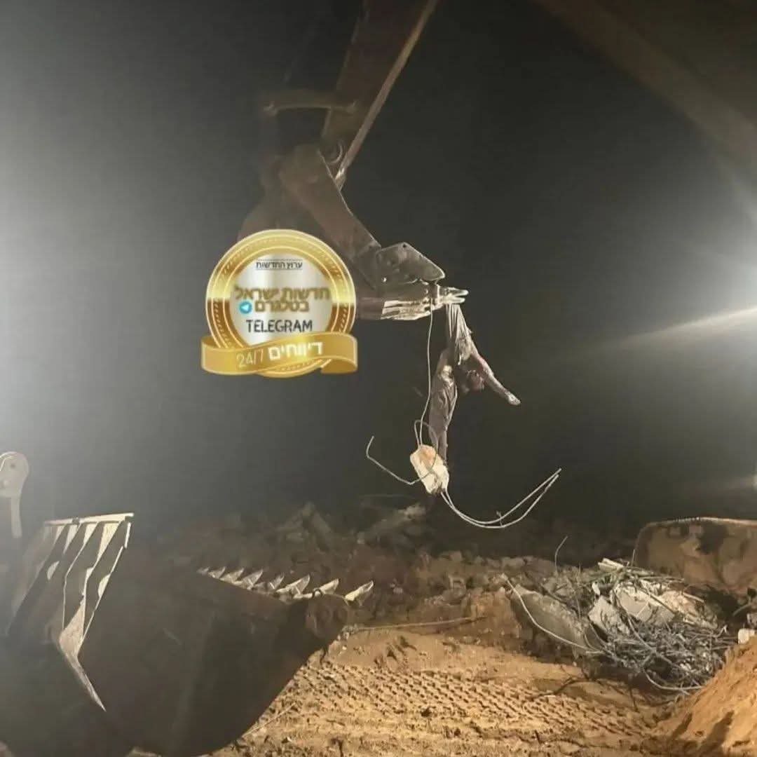 Muhammad Shehada tweet media