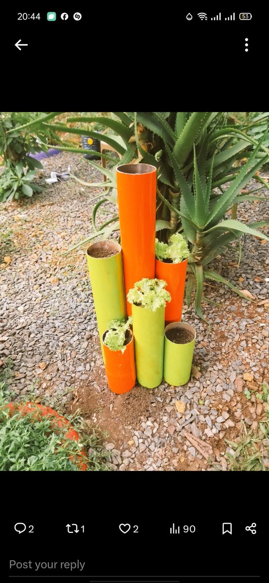 jp_luwaga's tweet photo. @UReportUganda Air pollution caused by burning burning of plastic can be mitigated by recycling the plastic into garden planters. https://t.co/8gCTpYvluT