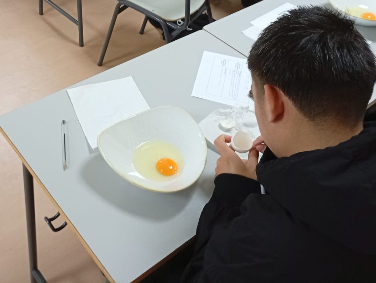 🥚¡En noviembre, el #Huevo fue la estrella en la cocina con las charlas en la <a href="/CifpSimone/">𝘊𝘐𝘍𝘗 𝘚𝘪𝘮𝘰𝘯𝘦 𝘖𝘳𝘵𝘦𝘨𝘢 📚</a>!

La directora del <a href="/huevoinstituto/">Instituto de Estudios del Huevo</a>, compartió conocimientos sobre #HuevoComoAlimento y #DeLaGranjaALaMesa, destacando su importancia en gastronomía y nutrición.