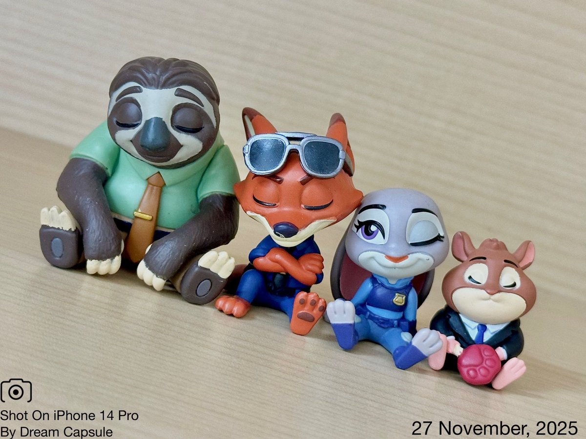 しぇいこん (@jyugonwife) / Posts / X