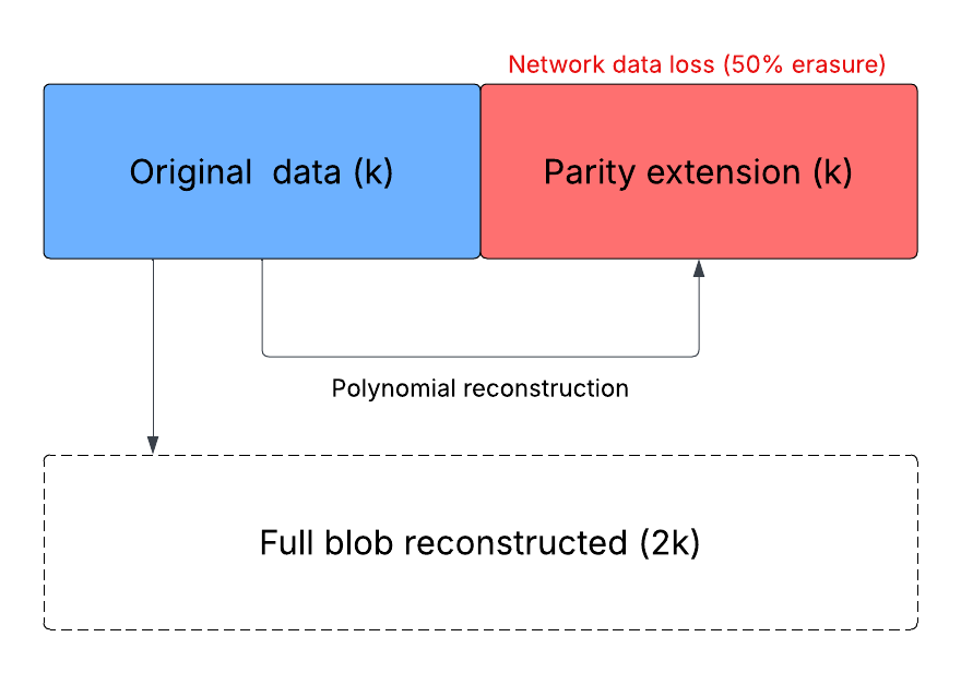 Brown_ux's tweet image. Modeling @ethereum&apos;s Fusaka PeerDAS: A computational analysis of reed-solomon erasure coding

hackmd.io/@brownresearch…